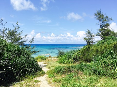 Beach in Amami Oshima