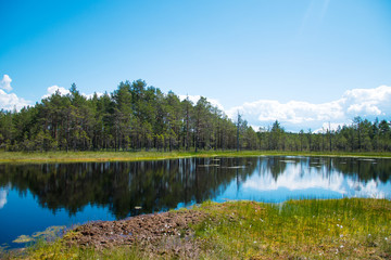 Viru Raba swamp lake in Estonia.
