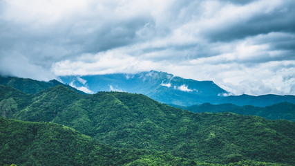 Obraz premium Fog over the mountains.In the rainy weather in the countryside
