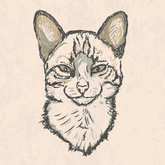 handmade vector sketch of the head of a cat with big ears on a grunge background