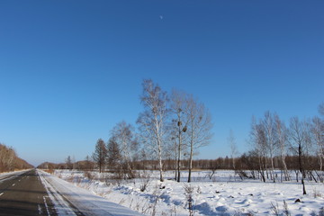 Obraz premium bare trees, blue, clouds, cold, dark forest on the horizon, forest, road, season, sky, snow, snowy roadside, winter, winter field, winter forest, winter landscape, winter road