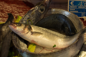 Fisherman’s catch of fresh raw fish from Aegean sea, Sicily, Italy, ready to cook, on ice