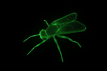 Fly in Hologram Wireframe Style. Nice 3D Rendering
