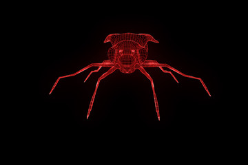 Fly in Hologram Wireframe Style. Nice 3D Rendering

