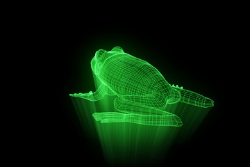 Frog in Hologram Wireframe Style. Nice 3D Rendering
- 165896443