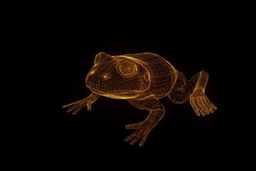 Obraz premium Frog in Hologram Wireframe Style. Nice 3D Rendering 