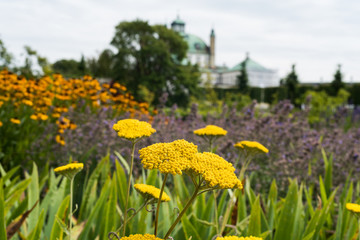 Flowers at Fredensborg castle