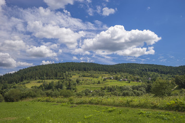 Obraz premium Summer day landscape 