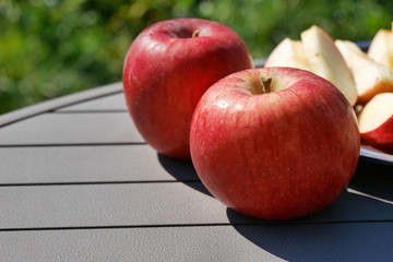 Apple orchard in Japan