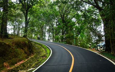 Scenic road through mountain forest