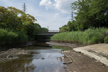 東京湾に注ぐ川の河口