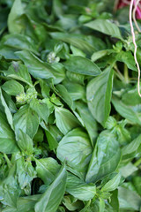 Frisches Gemüse vom Markt