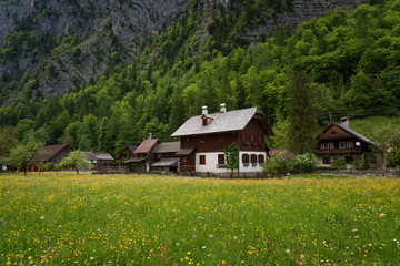 Fototapeta na wymiar Typical Austrian Alpine houses with bright flowers, Hallstatt, Austria, Europe