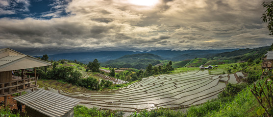 Rice terraces,Rice field on the mountain,Natural retreats,The life of the hilltribe