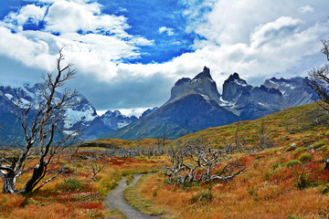 Landscape of Chile