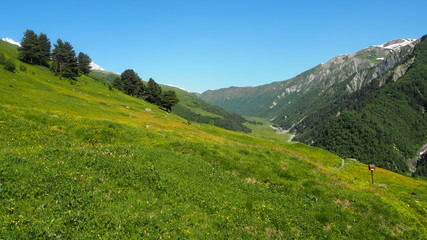 Fototapeta na wymiar Georgian landscape