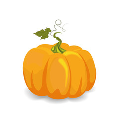 Yellow pumpkin for halloween