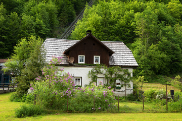 Typical Austrian Alpine house with bright flowers, Hallstatt, Austria, Europe