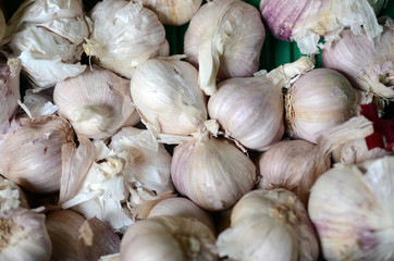 Garlic bulbs in a market