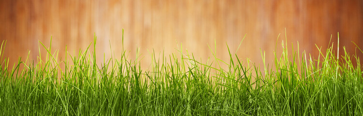 wooden wall  and green grass background