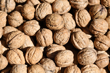 Frische Walnüsse