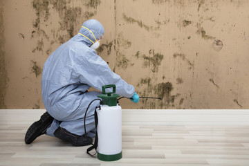 Pest Control Worker Spraying Pesticide On Wall With Sprayer