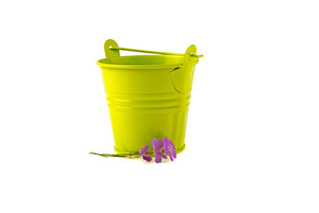Green bucket and flower on a white background