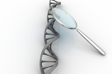 Magnifying glass focussing on a section of a DNA strand