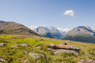 Fototapeta premium St. Moritz, Muottas Muragl, Engadin, Oberengadin, Rosatschgruppe, Val Roseg, Bernina, Val Bernina, Piz Bernina, Alpen, Wanderweg, Graubünden, Sommer, Schweiz