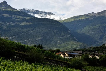 Fototapeta premium sierre