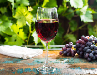Wine glass wirh red wine, outdoor terrace, wine tasting in sunny day, green vineyard garden background.