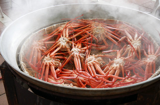 Auction Snow Crab In Market Japan