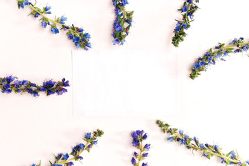 Piece of paper and frame with violet field flowers