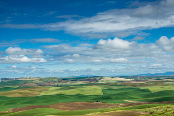 Obraz premium Landwirtschaft und Windräder beim Steptoe Butte, Palouse hills, Whitman County, Washington