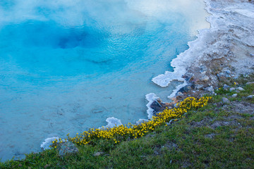 Heisse Quelle im Yellowstone Nationalpark, Wyoming