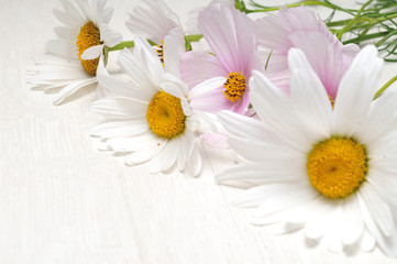 Chamomile on a wooden table