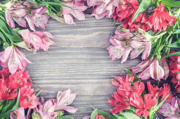 Beautiful background of red and pink Alstroemeria flowers on wood background. Tinted glass. Copy space.