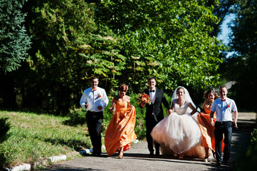 Beautiful wedding couple walking and having fun with groomsmen and bridesmaids in the park.