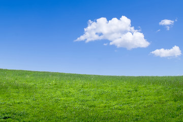 Green meadow background against a blue sky.