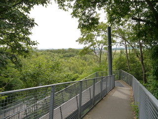 Fototapeta premium Baesweiler Carl-Alexander Park Treppenanlage 3
