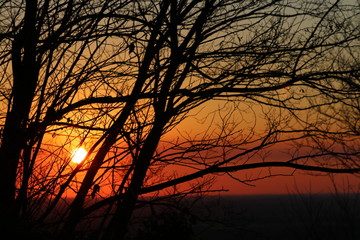 Tramonto rosso sole sera alberi natura