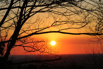Fototapeta premium Tramonto rosso sole sera alberi natura