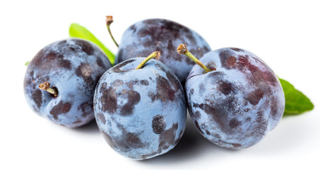 bio Zwetschgen auf weissem Hintergrund 