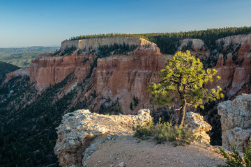 Fototapeta premium Aussicht im Bryce Canyon National Park, Utah