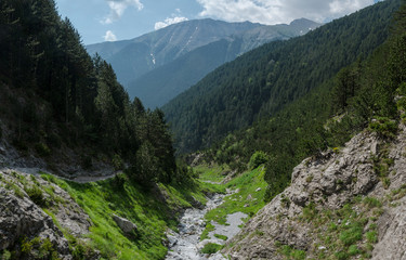 Fototapeta na wymiar Mountain gorge with a green forest and a footpath