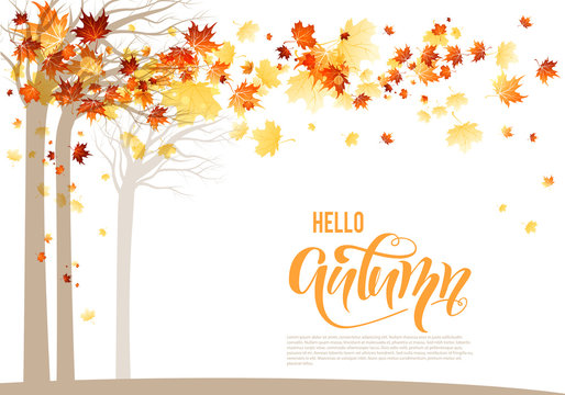 Orange autumn trees banner
