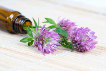 clover flowers with glass bottle on bamboo mat
