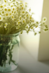 A bouquet of wildflowers camomiles in a glass jar on a table by the window. Vintage tone