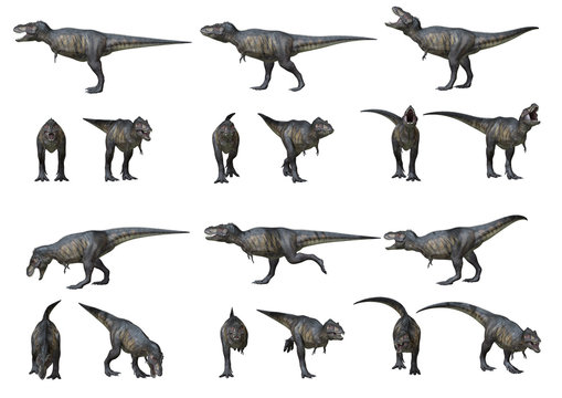T-Rex verschiedene Ansichten, 3D-Rendering
