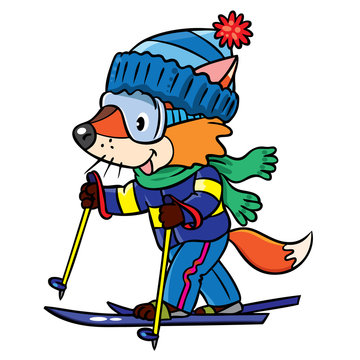 Funny fox rides on skis.